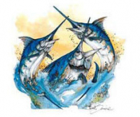 Sea Horse Anglers Club Billfish Tournament